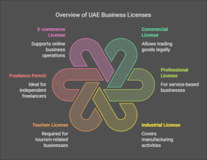 Main Types of Business Licenses and Permits in the UAE
