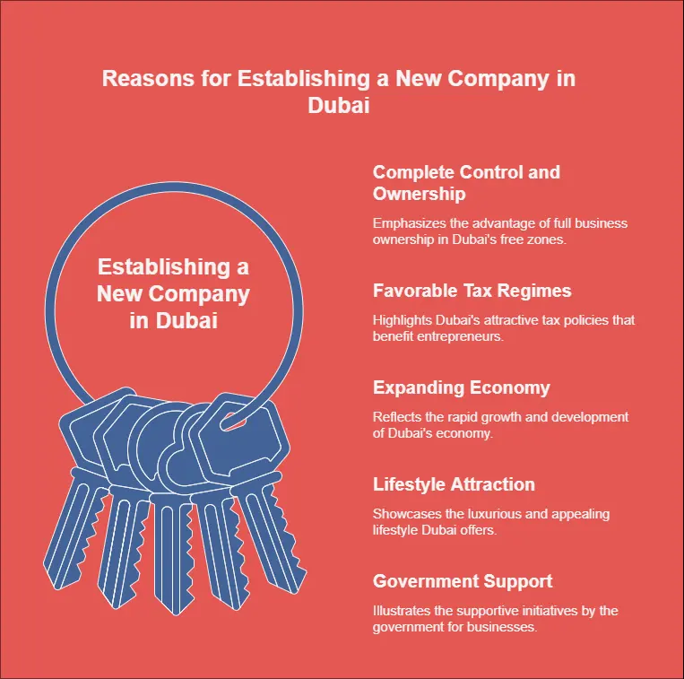 Reasons for Establishing a New Company in Dubai