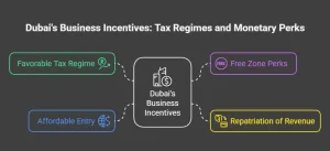 Beneficial Tax Regimes and Monetary Perks